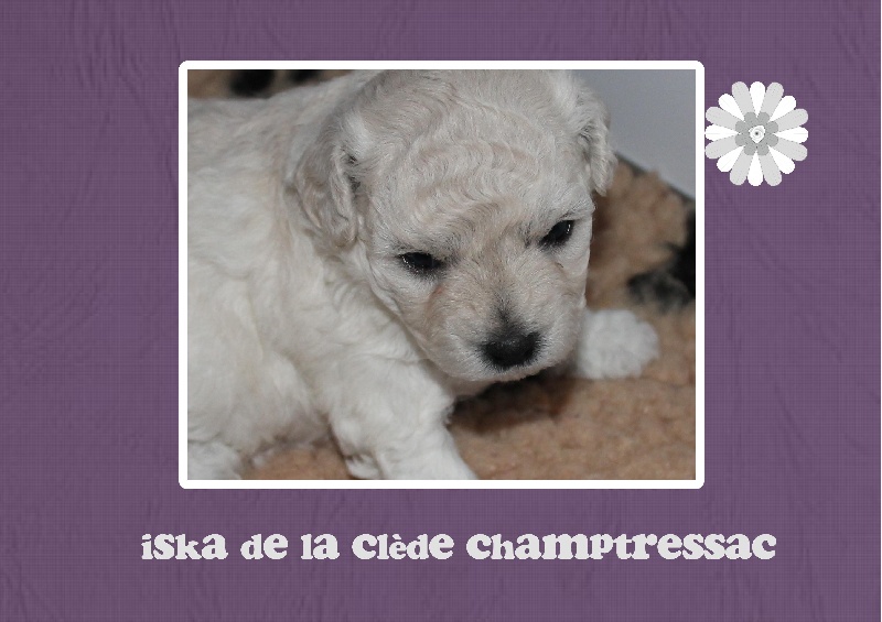 Iska De La Clède Champtressac